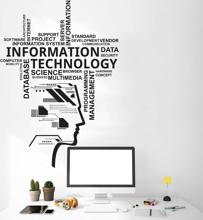 Information Technology Vinyl W - Information Technology Officer 评论和价格